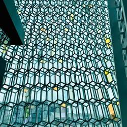 Harpa von innen