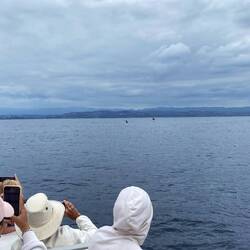 Didn't get that close, but amazing to see a blue whale!