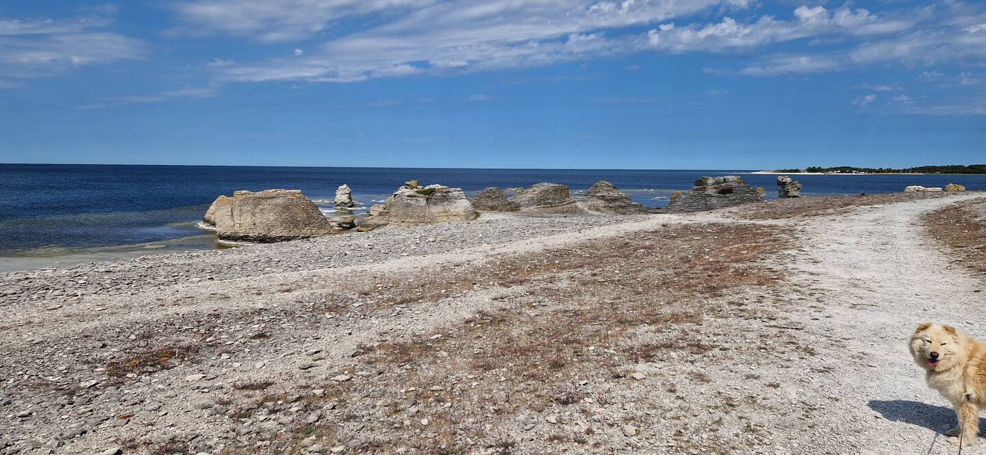 Gamla Hamn Naturreservat