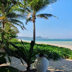 Am nächsten Tag war wieder Ruhe im Paradies.