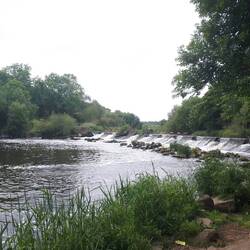 Not clearly visible is a Little Egret flying over to the far side of the weir