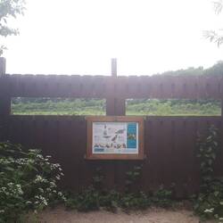 Sprotbrough Flash nature reserve had viewing screens over the other side of the river.