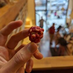 Raspberries coated with chocolate