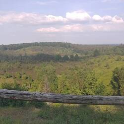 Totengrund. Einer der schönsten Plätze hier in der Heide. War schon einige male hier.