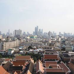 The view from the top of Wat Saket.