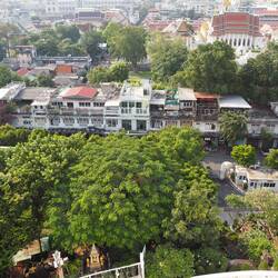 The view from the top of Wat Saket.