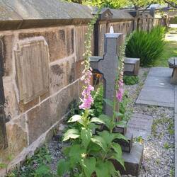 Direkt neben unserem Tisch, ein geschmücktes, altes Grabkreuz🌺