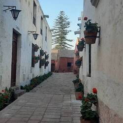 Immerno im Kloster...