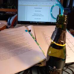 Bubbles and the Astrand-Rhyming nomogram pair well!