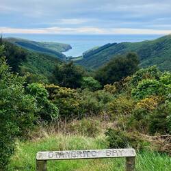 Hinewai Reserve🗻