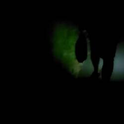 Unser nach Hause Weg!!!🫣