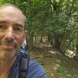 Path through Bigsweir wood nature reserve