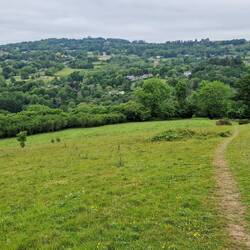 Pastureal scene descending towards Brockweir
