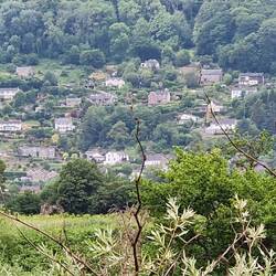 Llandogo village. A not untypically scene along the sides of the Wye valley