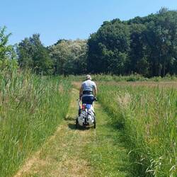 Überraschend schöne Wanderwege!