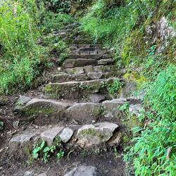 stairs, stairs, stairs