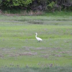 This was our view out the window by our table