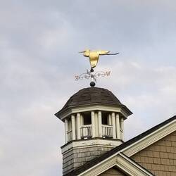 Love a cool weathervane