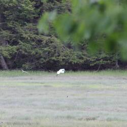 And the manager gave us a free crème brulle' to celebrate our anniversary