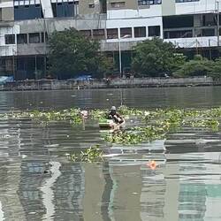 Collecting plastic on the river