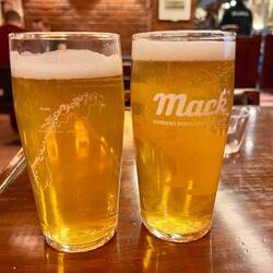 Nördlichste Brauerei der Welt, 2 Bier 20€