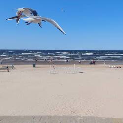 Sandstrand vom Feinsten