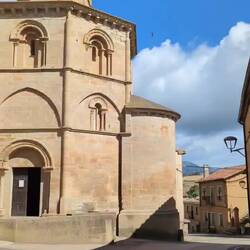 Swallows! They're common here