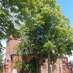 An der Kirche in Hintersee halten wir Kriegsrat!