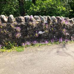 Mauern säumen die Wege