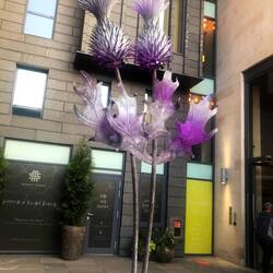 Der Eingang des Market Street Hotels in Edinburgh