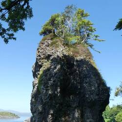 The Dog Stone in Oban