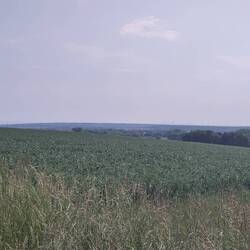 Erster Blick auf den Harz