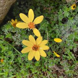 ...und bin ich schon glücklich.