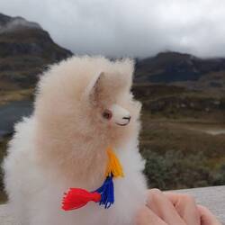 ...ach da ist schon eins!