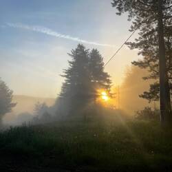 Sonne! Ich konnts kaum glauben