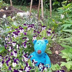 Ps emergency hug delivery from home!!