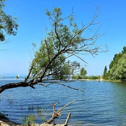 Bodensee
