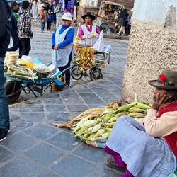 Mais, Saft, Zuckerrohr