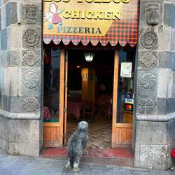 he did not went inside, just looking