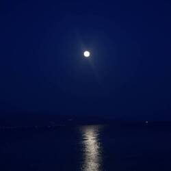 Lever de lune 🌚