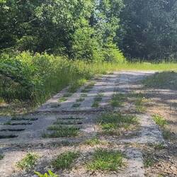 Am Ende siegt die Natur