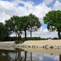 Ufer Sanierung, damit die mächtigen Bäume den Halt nicht verlieren