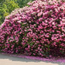 Wer findet mich 🤭🤭🤭?