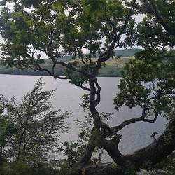 Der Rastplatz auf dem Weg von Imvevaray nach Tarbert