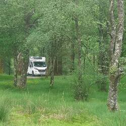 Der Wald lädt ein zum Pause machen