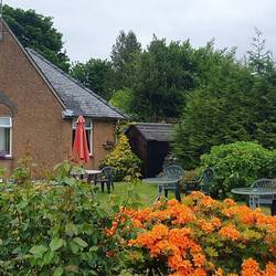 Diese wunderschönen Gärten