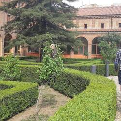 The cloister at St. Francisco de Assisie