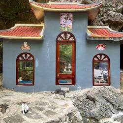 Cat house
