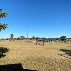 שורה ראשונה לתחרות