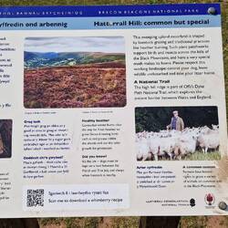 Hatterrall hill information board